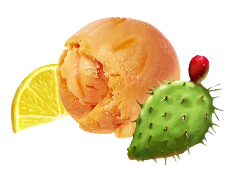 KaktusCitrus sorbet