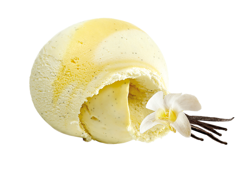 Vanilla