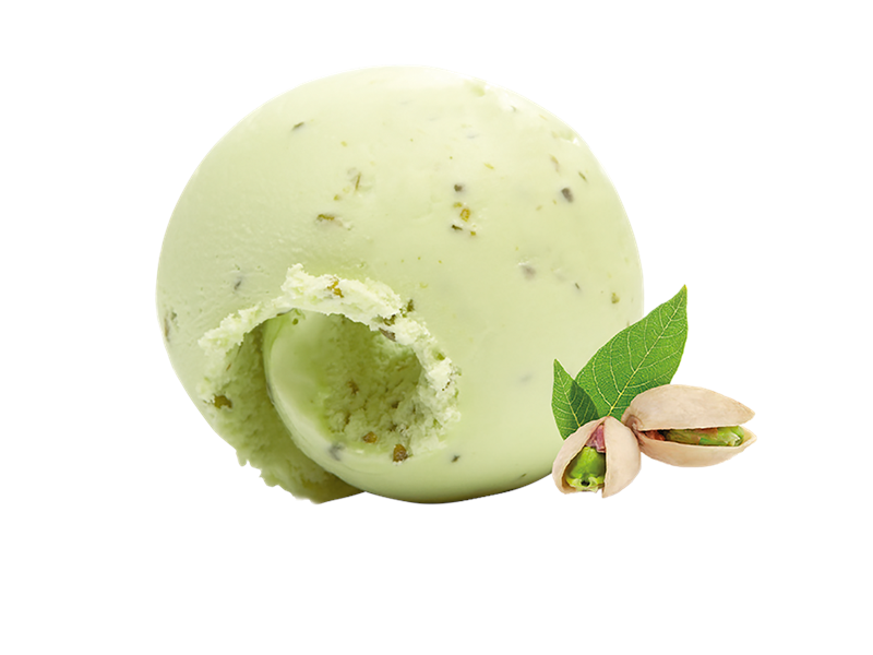 Pistacia