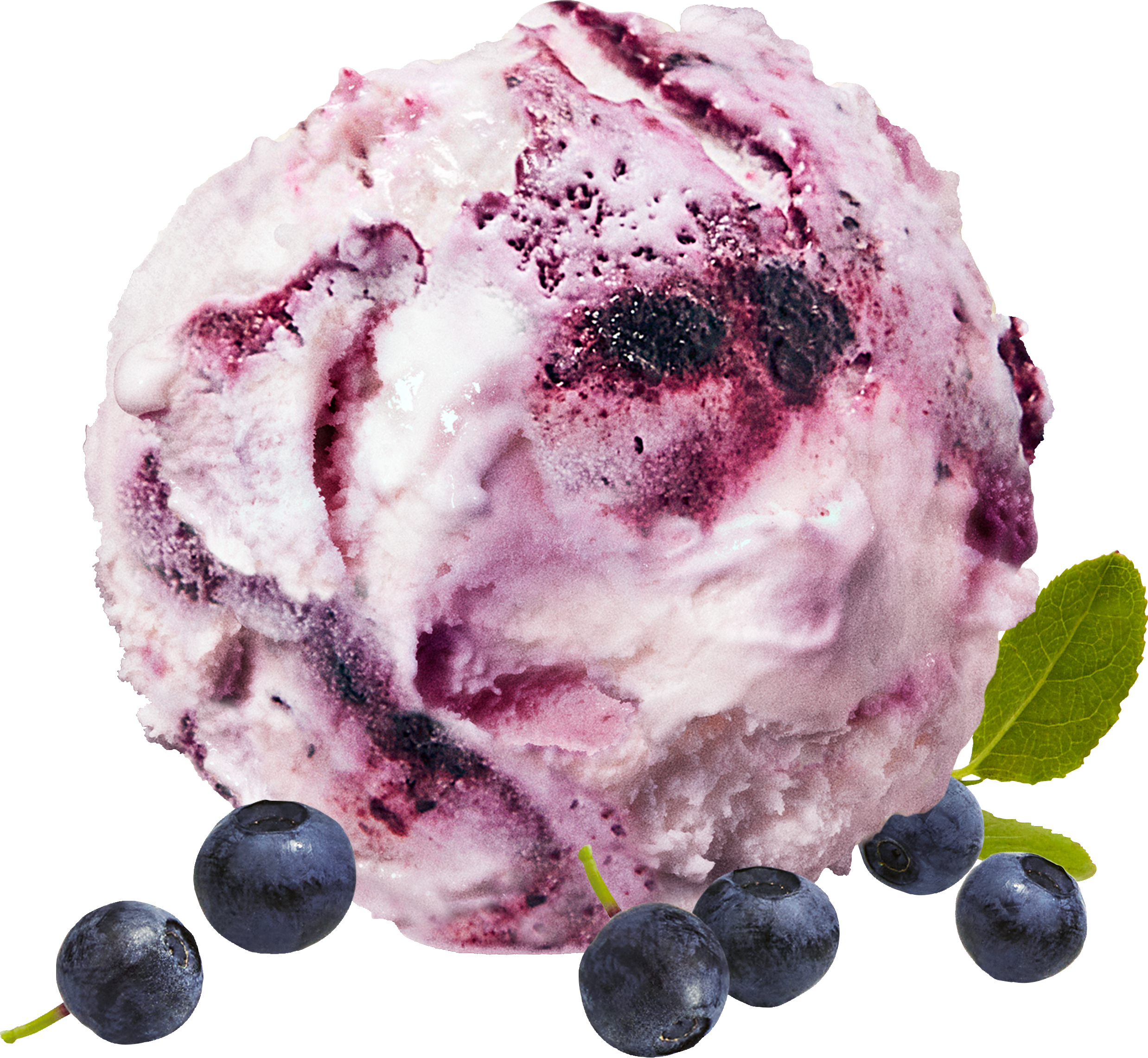 10201 Blåbär.png