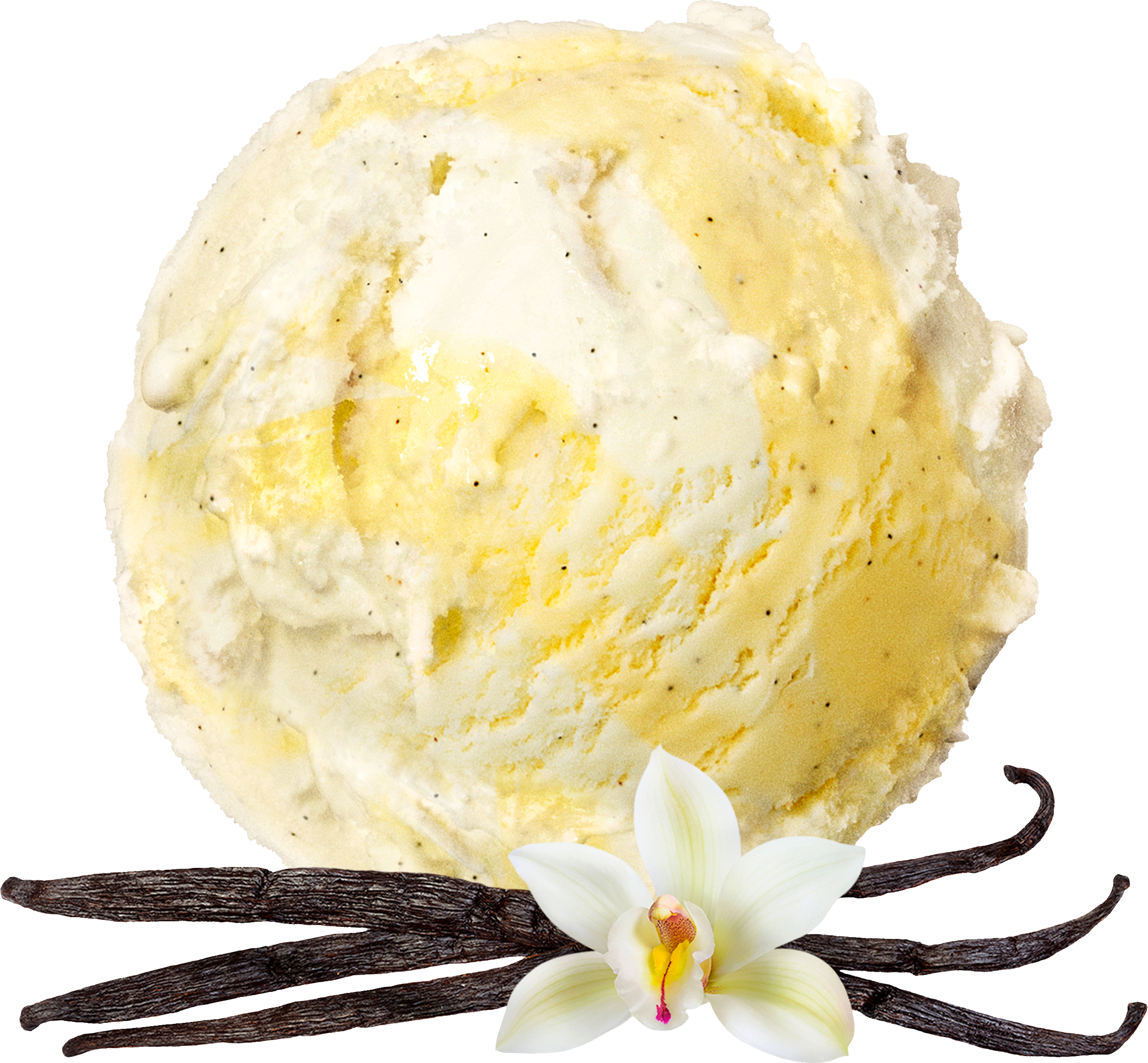 10401 Finaste Vanilj.png